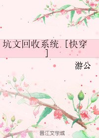 坑文回收系统