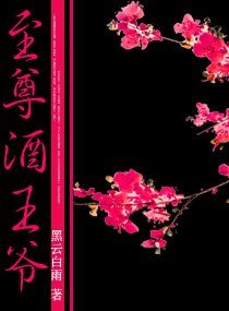 至尊酒王爺