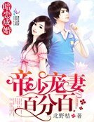 暗恋成婚:帝少宠妻百分百