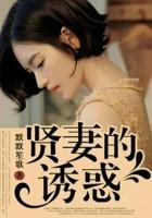 贤妻之诱惑