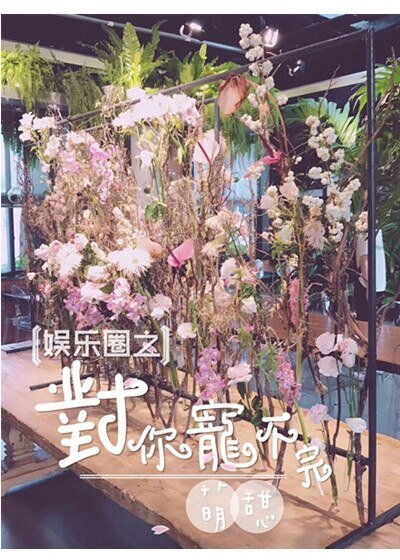娱乐圈之对你宠不完