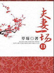 夫妻一场2