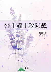 公主骑士攻防战