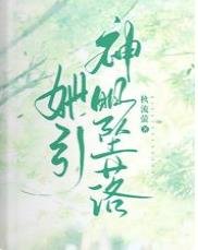 她引神明坠落