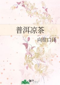 普洱凉茶