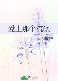 爱上那个流氓